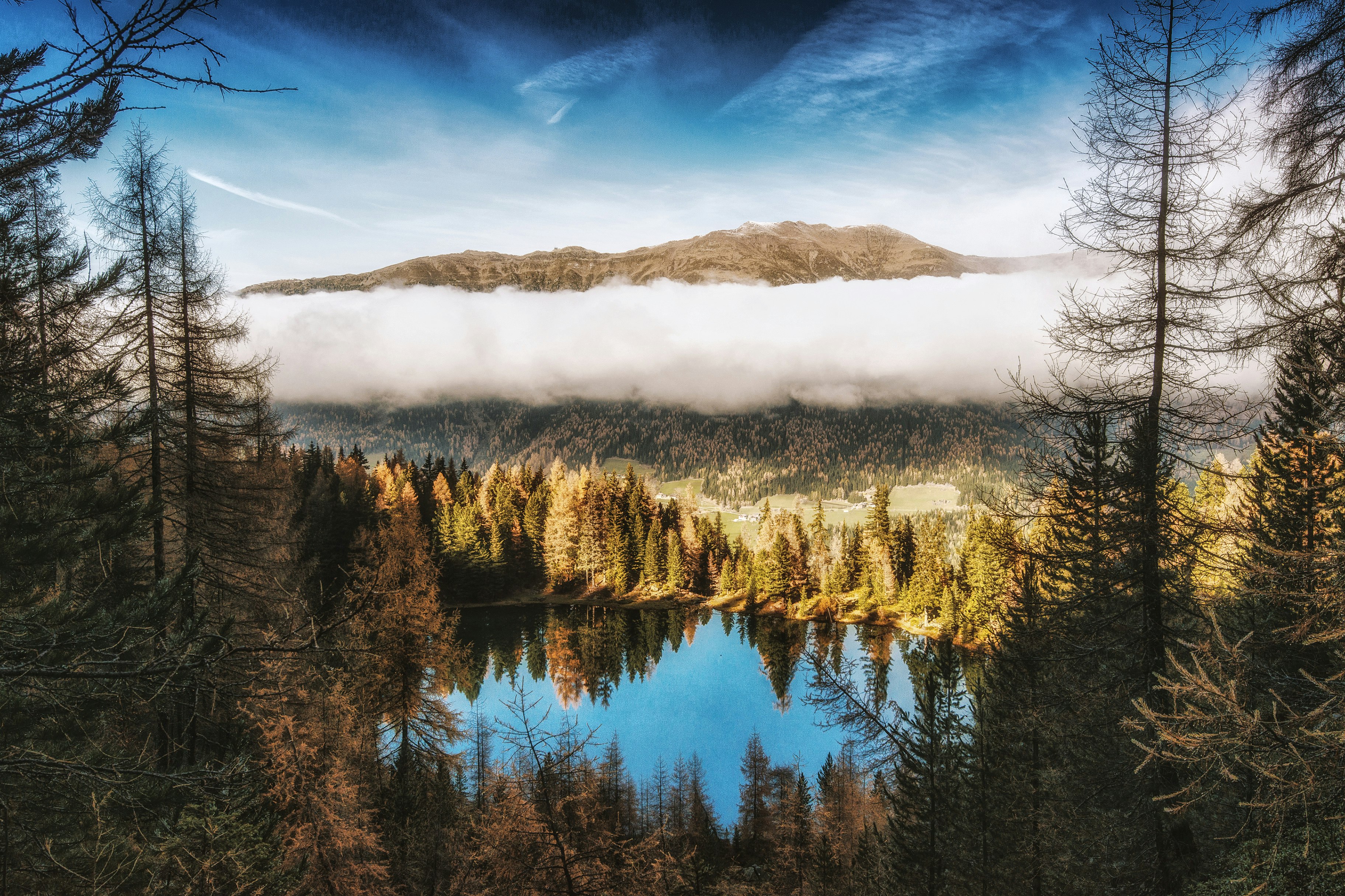 mountains surrounded by trees during daytime